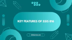 Key Features of SSIS 816