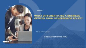 What differentiates a Business Officer from other senior roles?