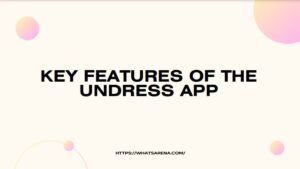 Key Features of the Undress App