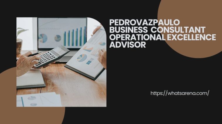 Pedrovazpaulo Business Consultant