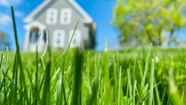 Greener Grass Arranging: Changing Your Outside Spaces 