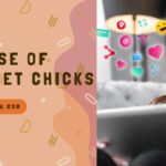 The Rise of Internet Chicks